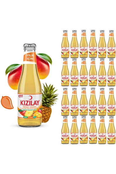 KIZILAY MADEN SUYU DOĞAL MANGO ANANAS AROMALI 200 ml X 24 ADET ürün görseli 1