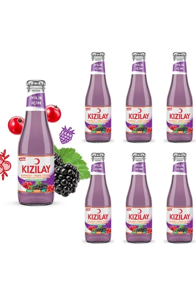KIZILAY MADEN SUYU DOĞAL KARADUT FRENK ÜZÜMÜ AROMALI 200 ML X 6 ADET ürün görseli 1