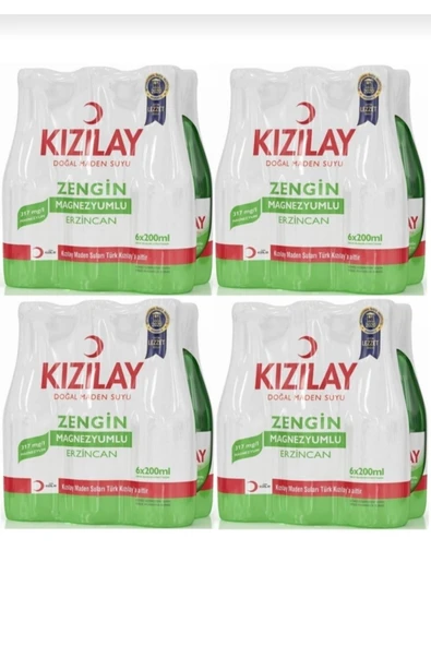 Maden Suyu Erzincan 200 ml X 24 ürün görseli 1