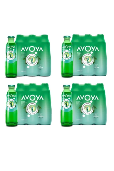 Maden Suyu 200 ml x 24 Adet ürün görseli 1