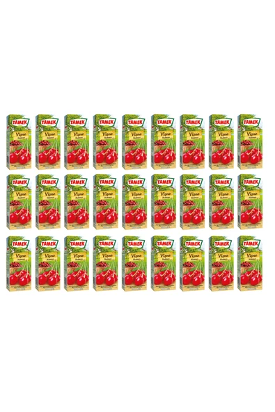 Vişne Nektarı 200 Ml X 27 Adet ürün görseli 1