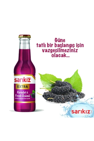 Karadut & Frenk Üzümü Soda 200 Ml (24)lü ürün görseli 1