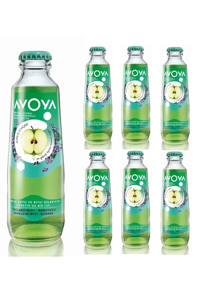 6'lı Elma & Adaçayı Maden Suyu 200 ml ürün görseli 1