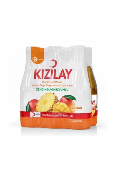 Mango-ananas Maden Suyu 6'lı 200 ml ürün görseli 1
