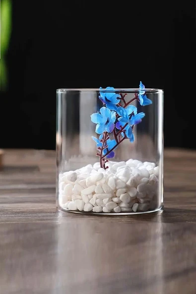 Silindir Masa Üstü Cam Vazo, 10x14 Cm Silindir Saksı Mumluk ürün görseli 1