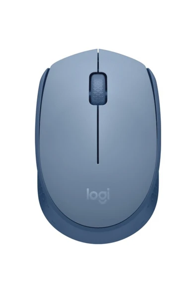 logitech M171 USB Alıcılı Kablosuz Kompakt Mouse, Açık Mavi 910-006866 ürün görseli 1