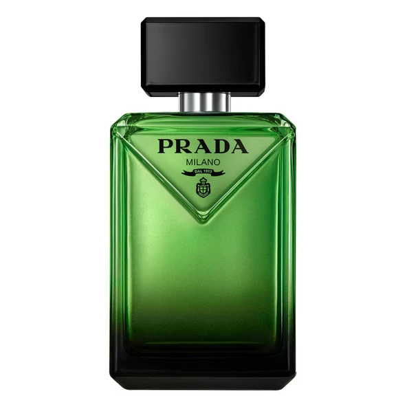 PTTAVM: Afnan 9pm Rebel Edp 100mL Erkek Parfümü