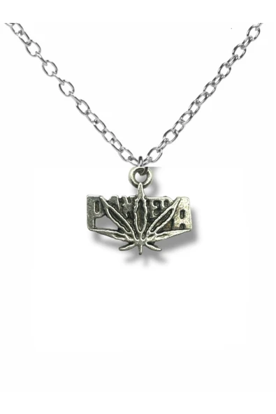 Pantera Logo Figürlü Gümüş Renk Unisex Metal Kolye – Heavy Metal Ruhunu Yansıtan Takı ürün görseli 1