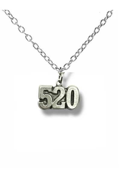520 Numeroloji Bereket Unisex Kolye – 60 cm Zincirli, Anlamlı Tasarım ürün görseli 1