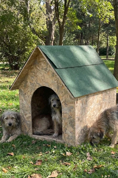 Reyo Köpek Kulübesi Büyük Boy OSB XL Yeşil Çatılı 100x100x78 cm ürün görseli 1