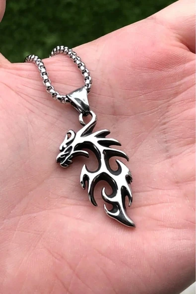 Gotik Kurukafa Ejderha  Viking Pentagram Kararmaz  Paslanmaz Vintage 316L Çelik Kolye ürün görseli 1