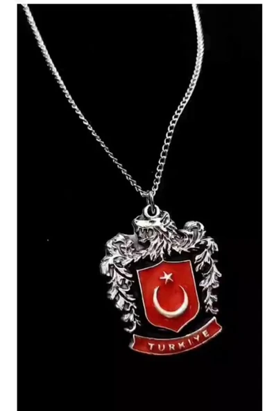 Bozkurt Logolu Türk Bayraklı 925 Ayar Gümüş Kaplama Kadın Erkek Kolye ürün görseli 1