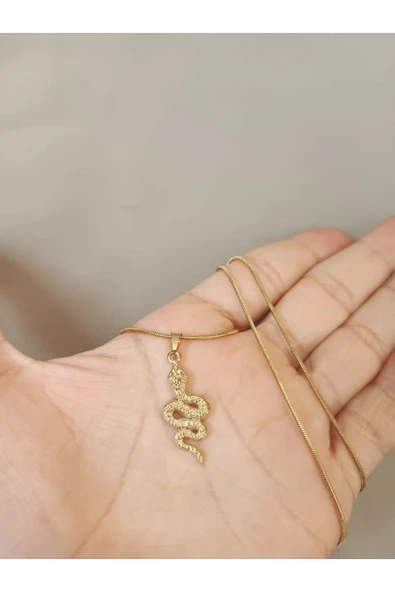 Yılan Şık Tasarım Gold Renk 316L Paslanmaz Çelik Figür Kolye ürün görseli 1
