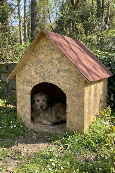 Reyo Köpek Kulübesi Büyük Boy OSB XL Kırmızı Çatılı100x100x78 cm ürün görseli 1
