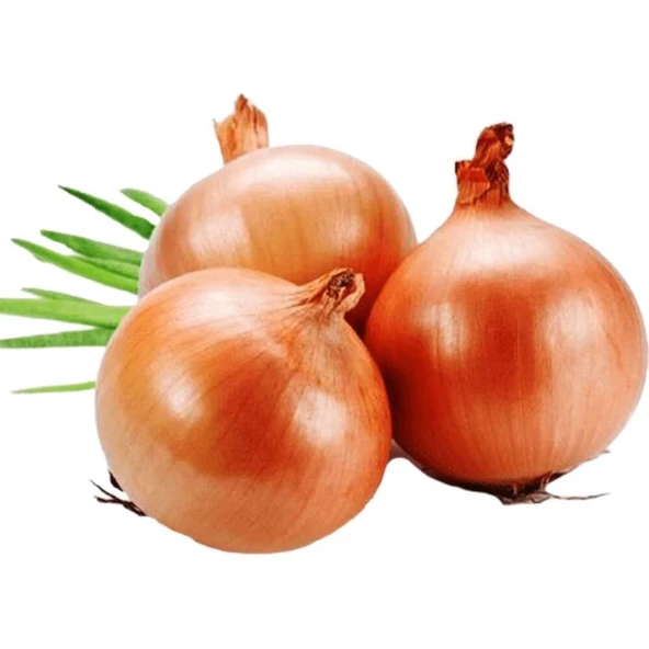 Soğan (Banka) Tohumu 5 gr Paket ürün görseli 1