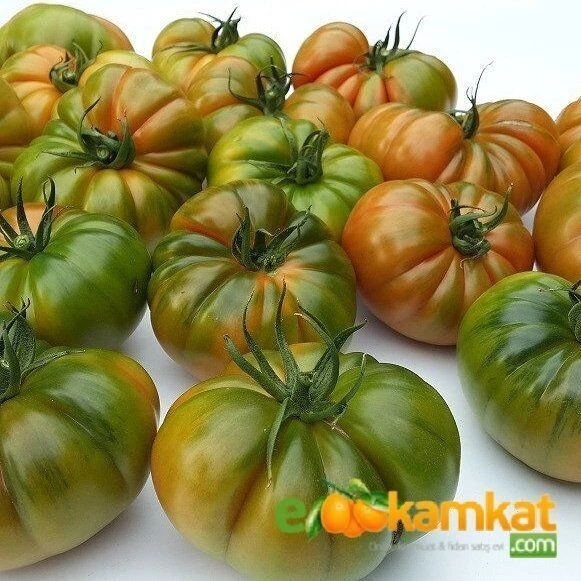 Köy Tipi Yayla Domatesi Tohumu Paket 5 gr Paket ürün görseli 1