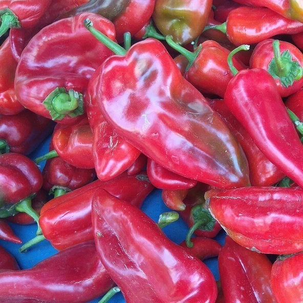 Kapya Tatlı Salçalık Biber Tohumu 5 gr Paket ürün görseli 1