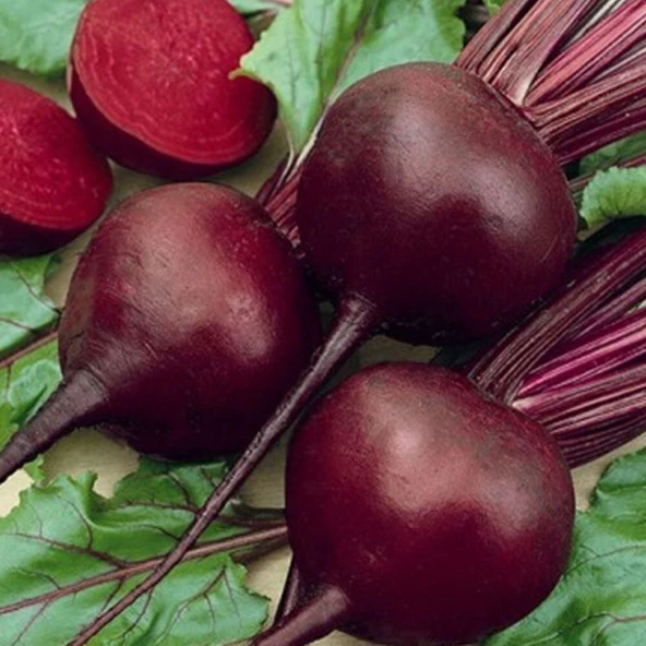 Kırmızı Pancar Tohumu 10 gr Paket ürün görseli 1