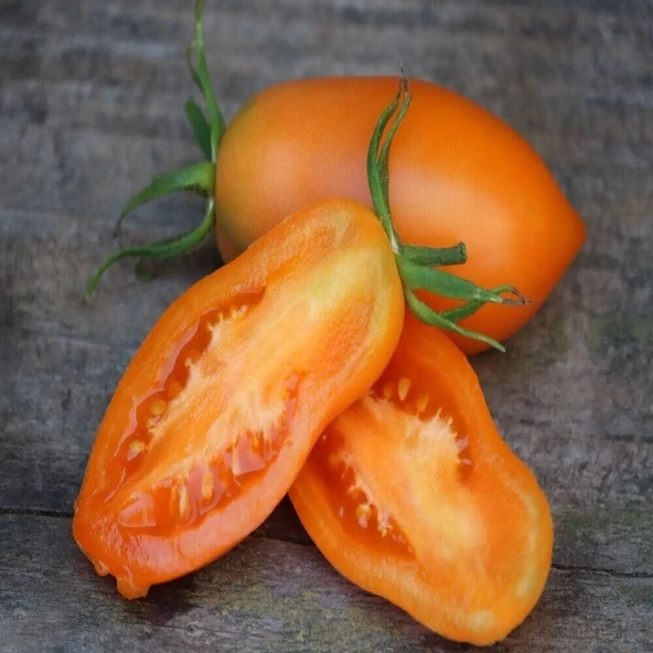 Chukloma Orange Domates Tohumu (15 tohum) ürün görseli 1