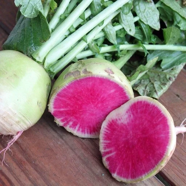 Doğal İçi Kırmızı Dışı Beyaz Sulu Watermelon Turp Tohumu (50 tohum) ürün görseli 1