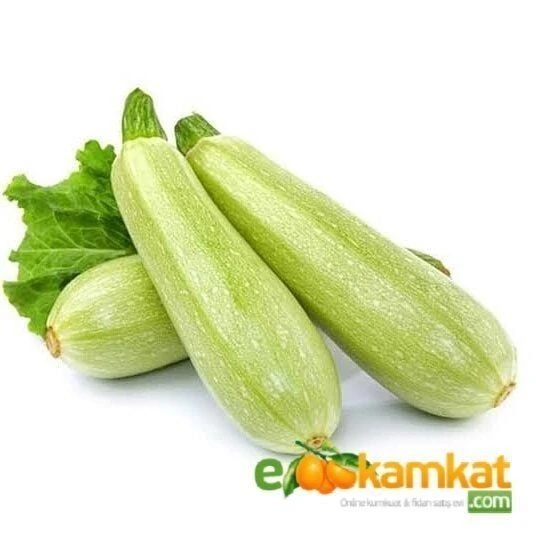 Beyaz Sakız Kabak Tohumu 10 gr Paket ürün görseli 1