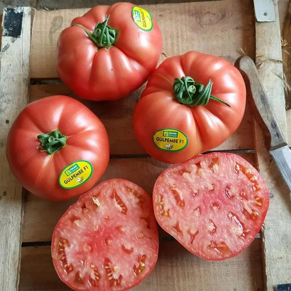 5 Adet Gülpembe Köy Domates Fidesi - Resim 2