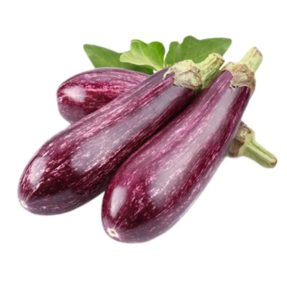 Yamula Çizgili Alacalı Patlıcan Tohumu 10 gr Paket ürün görseli 1