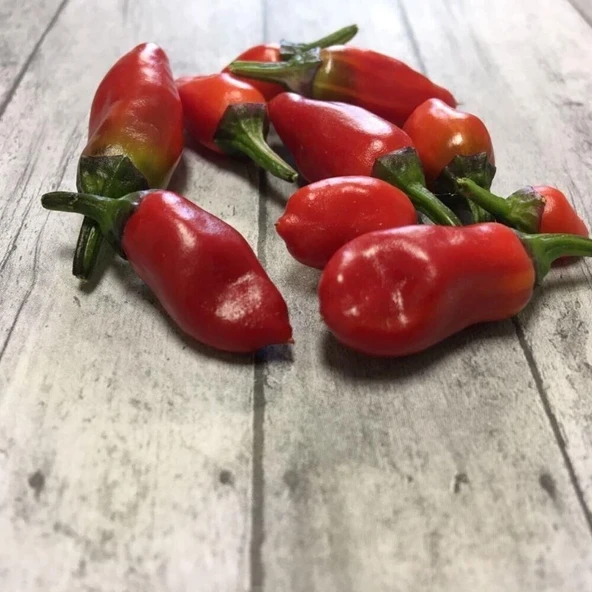 Jigsaw Pepper Tohumu (15 tohum) ürün görseli 1