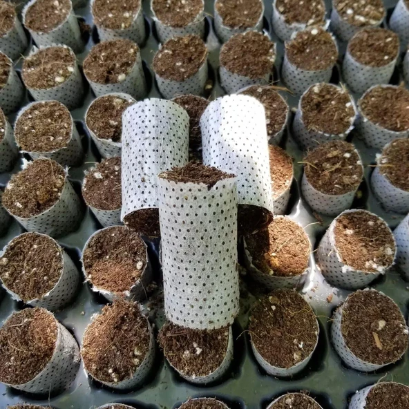 Tohum Ve Çelik Çimlendirme, Köklendirme Toprağı Paper Pot (50 Adet) ürün görseli 1