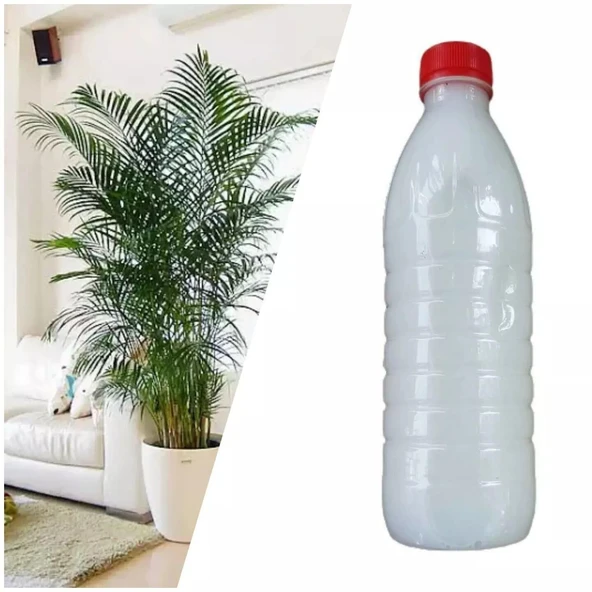 Salon ve İç Mekan Bitkileri İçin Özel İlaç Karışımı 500 ML ürün görseli 1