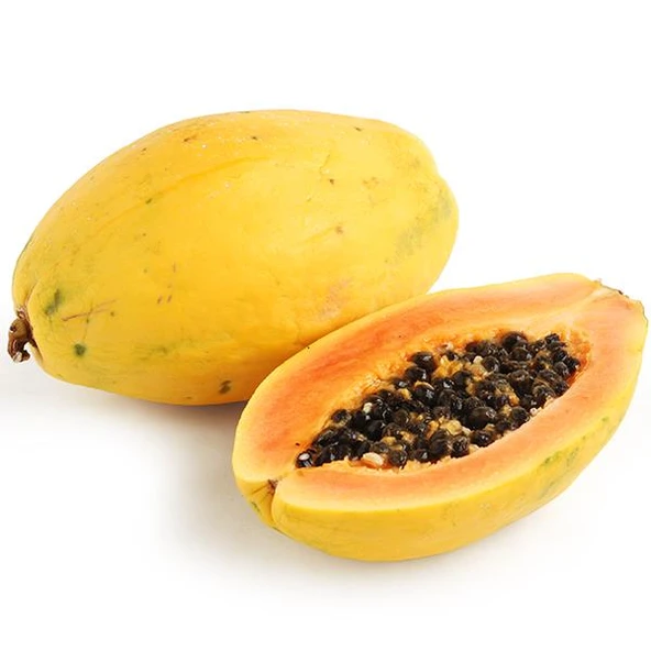 Nadir Tür Bodur GOLDEN Papaya Fidanı ,Torbada ürün görseli 1