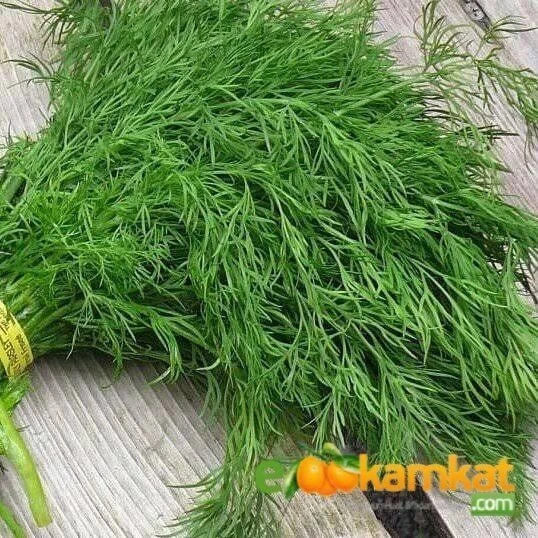 Dere Otu Tohumu Paket +25 gr Paket ürün görseli 1