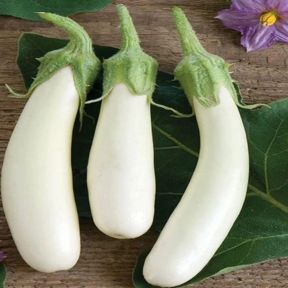 Casper Long Patlıcan Tohumu (15 tohum) ürün görseli 1
