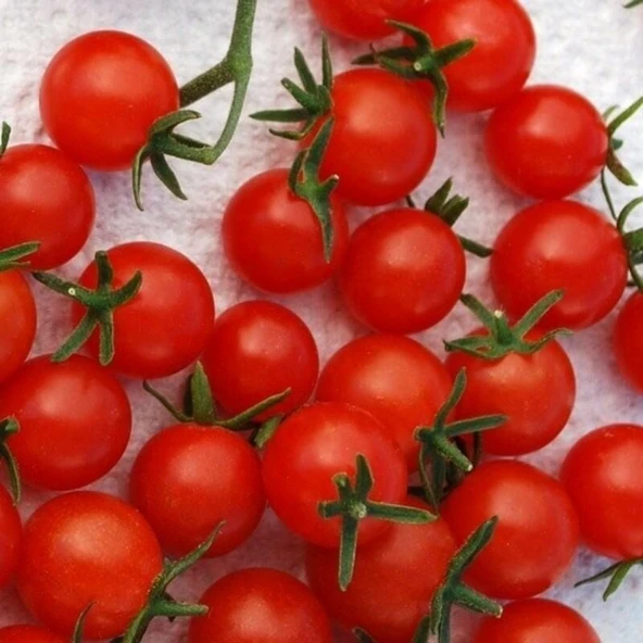 Doğal Red Currant Domates Tohumu (20 Tohum) ürün görseli 1
