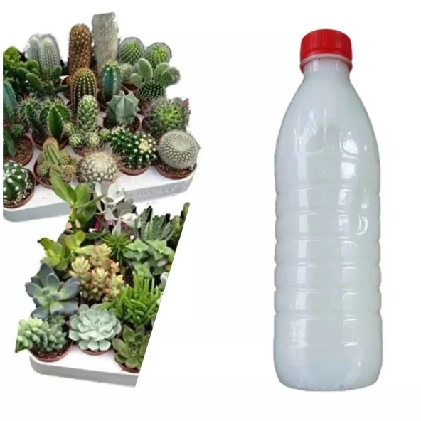 Kaktüs ve Sukulentler İçin Özel İlaç Karışımı 500 ML ürün görseli 1