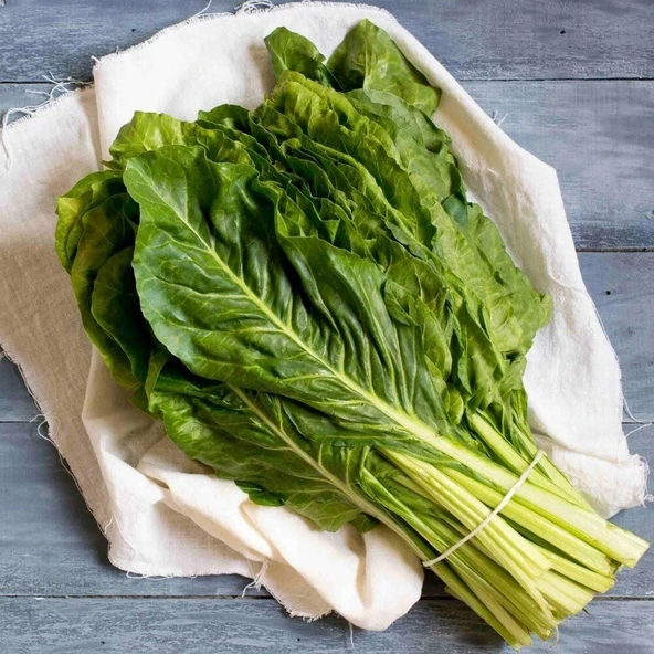 Doğal Geniş Yaprak Pazı Tohumu (40 Tohum) ürün görseli 1