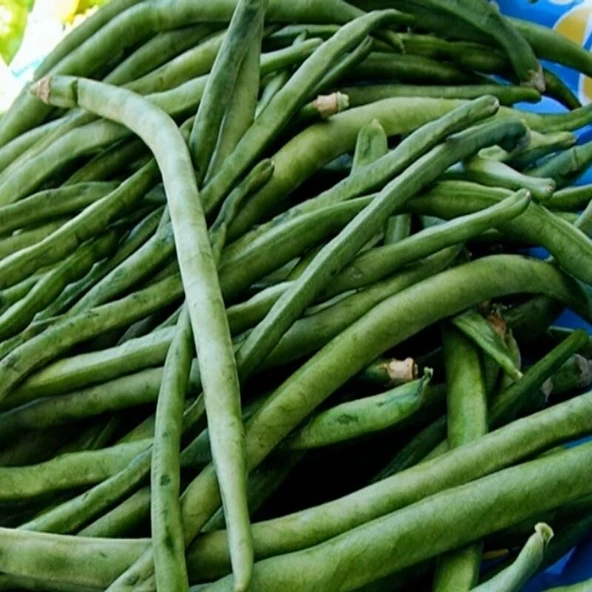 Doğal Kılçıksız Börülce Tohumu (25 gram) ürün görseli 1