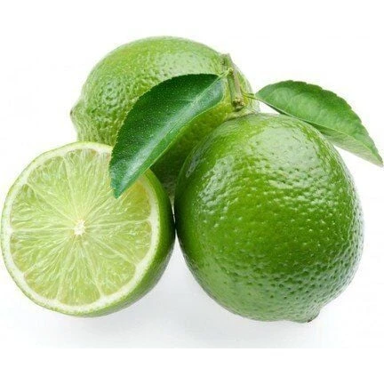 2 Yaş Aşılı Bodur Dikensiz Meksican Lime Fidanı, Torbada ürün görseli 1