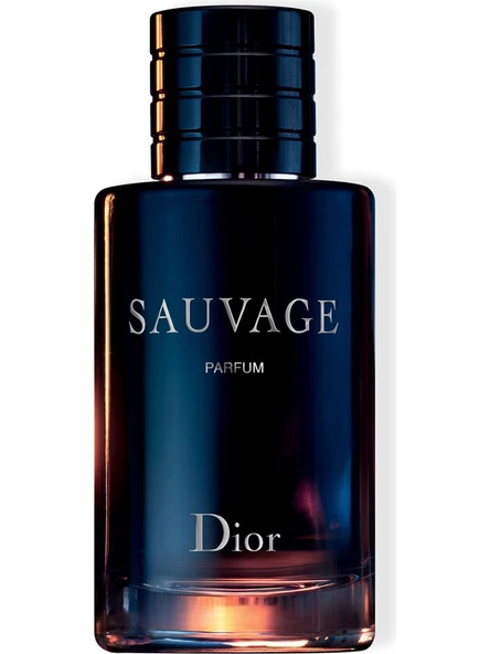 Dior Sauvage 100 ml Erkek Parfümü ürün görseli 1