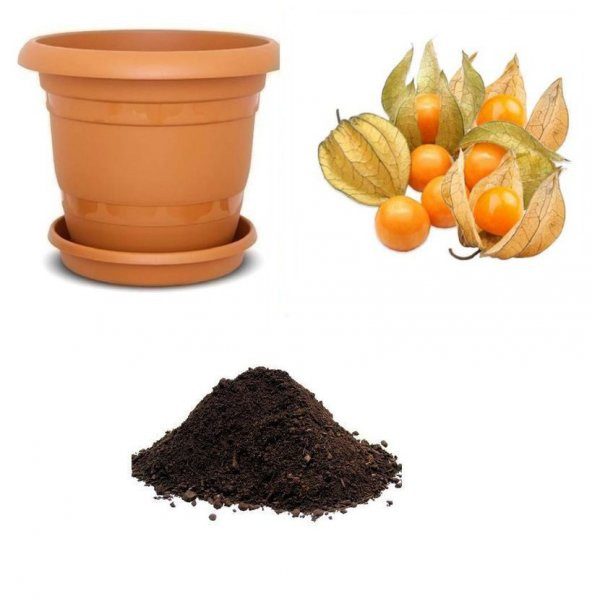 Yer Çileği Tohumu Ekim Seti ürün görseli 1