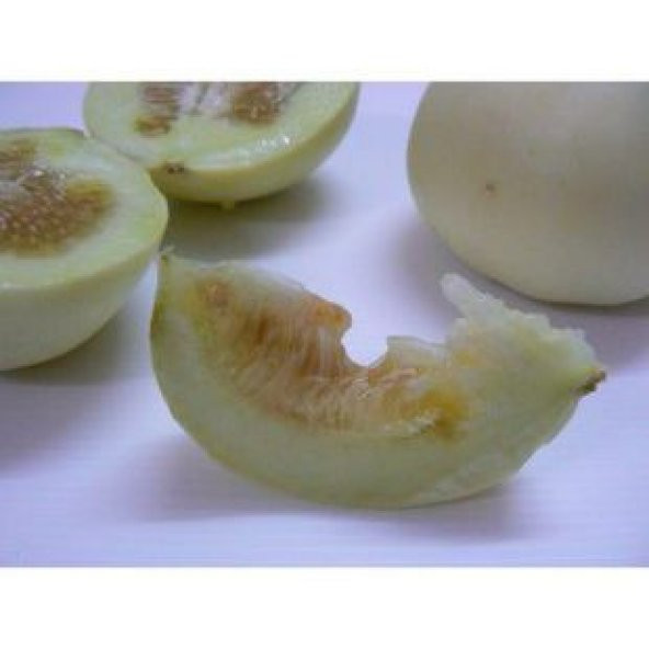 İthal Apple Melon Tohumu Ekim Seti - Resim 4