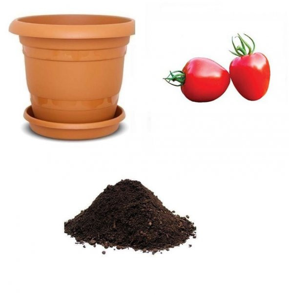 Nadir Tomatoberry Domates Tohumu Ekim Seti ürün görseli 1