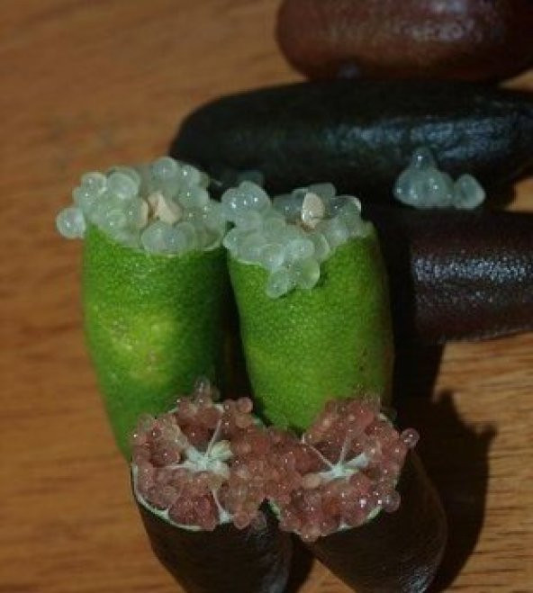 Nadir İthal Parmak Limon Tohumu Ekim Seti - Resim 5