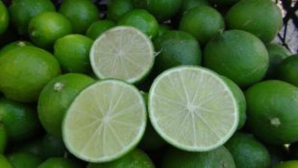 Nadir İthal Misket Limon Ekim Seti - Resim 3