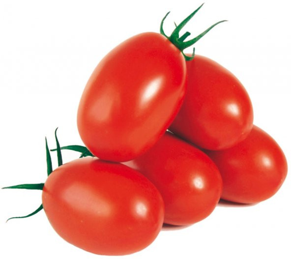 Saksılık Zeytin Domates Tohumu 10 Adet Tohum Kahvaltılık Domates Tohumu ürün görseli 1