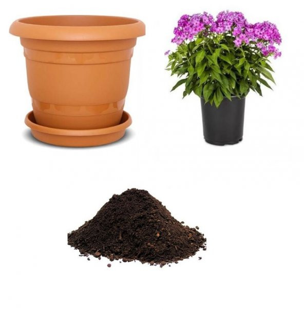 Karışık Flox Çiçeği Tohumu Ekim Seti ürün görseli 1