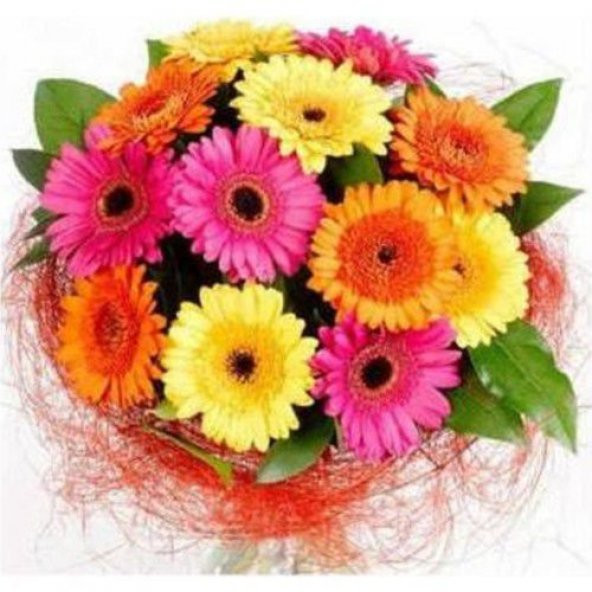 Karışık Gerbera Çiçeği Tohumu Ekim Seti - Resim 4