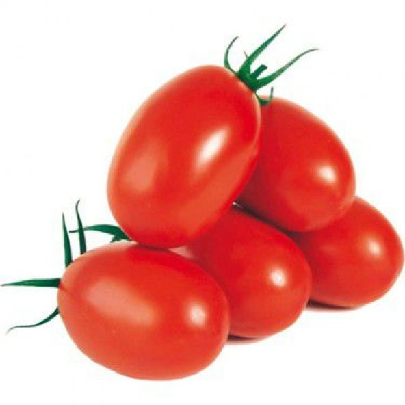 Nadir Zeytin Domates Tohumu Ekim Seti 10 Tohum Zeytin Domatesi Tohumu Saksı Toprak Kombin ürün görseli 1