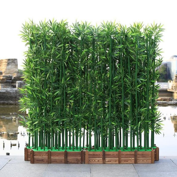 Saksılık Nadir İthal Yeşil Bambu Tohumu 5 Tohum - Resim 3