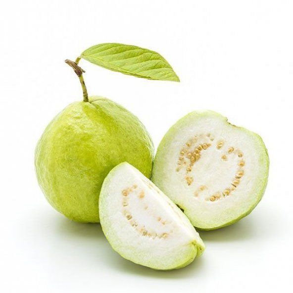 Nadir İthal Psidium Guava Meyvesi Tohumu Ekim Seti 3 Tohum Saksı Toprak Kombin ürün görseli 1